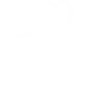 Endodontia